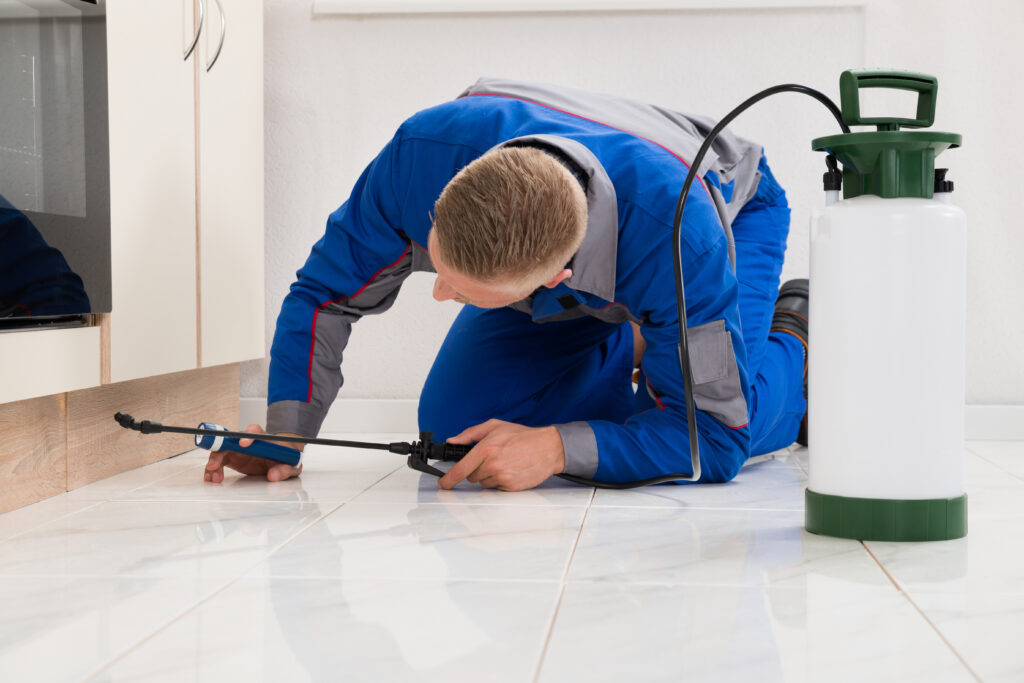 Missouri City Ant Control Xperts