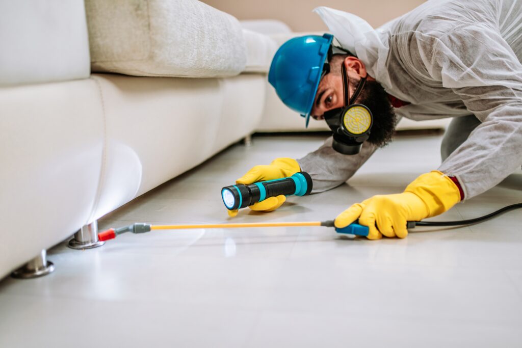 Missouri City Termite Control