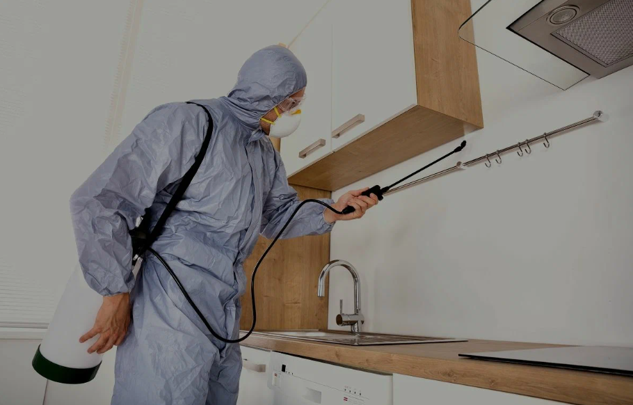 Missouri City pest managment